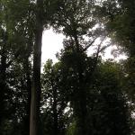 P1010016.JPG
