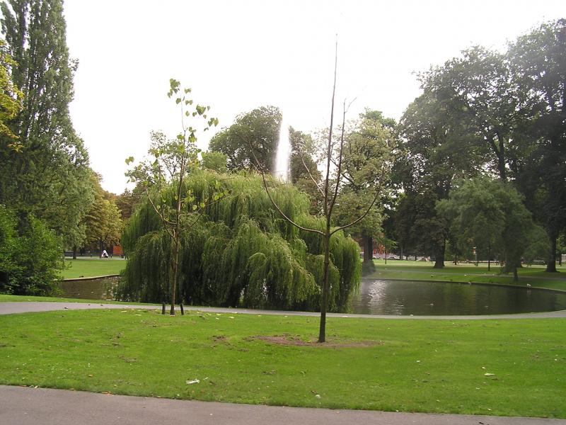 P1010017.JPG