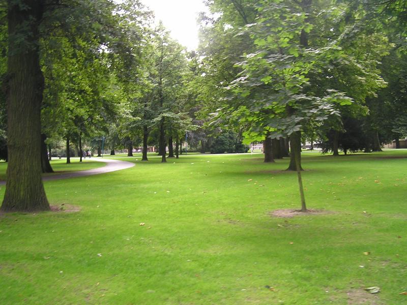 P1010018.JPG