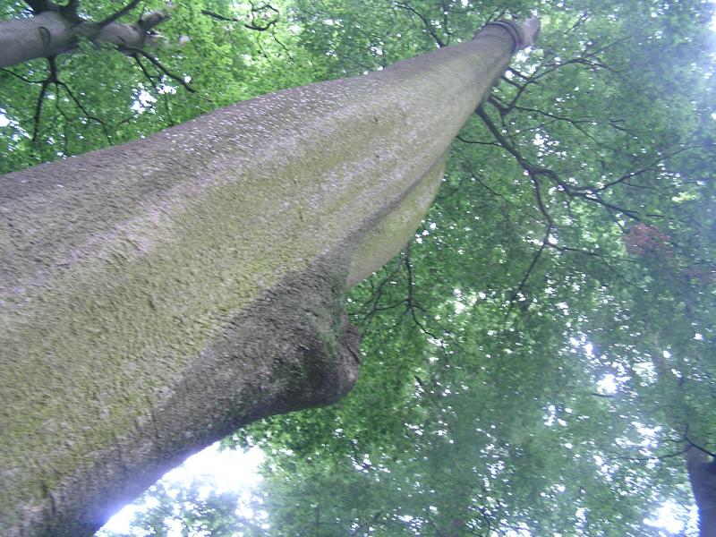 P1010019.JPG