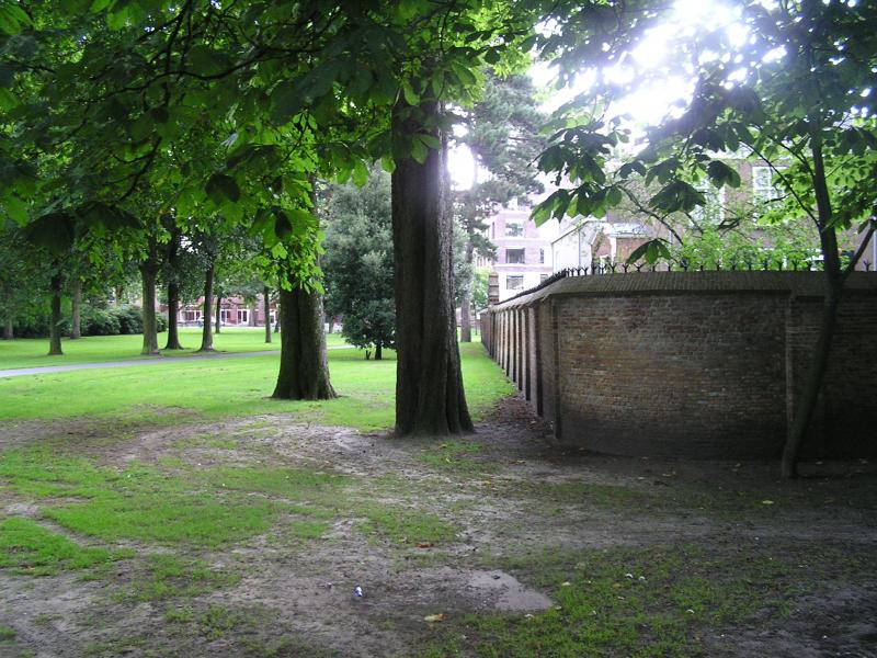 P1010127.JPG