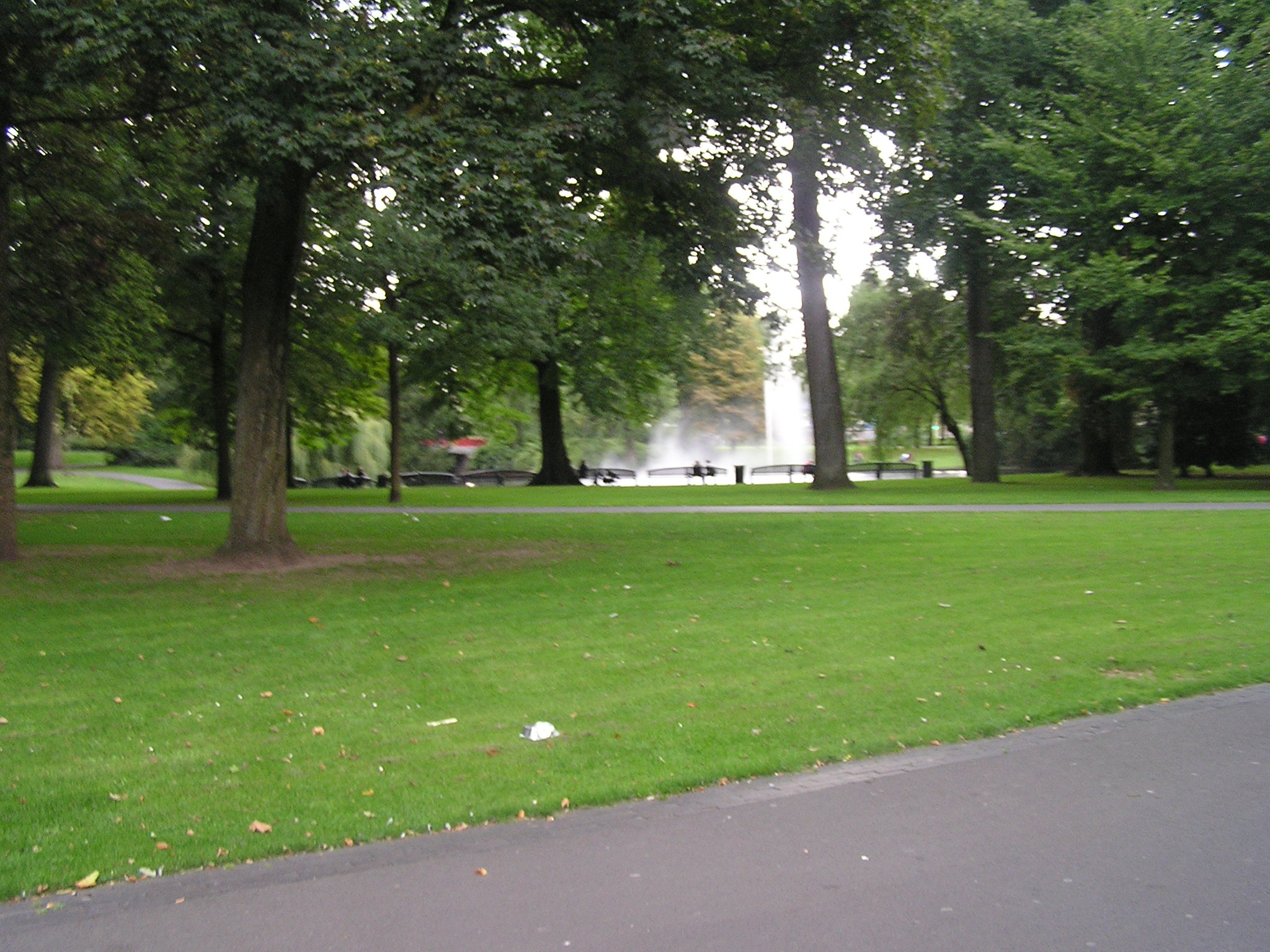 P1010128.JPG