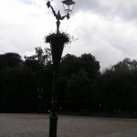 P1010120.JPG