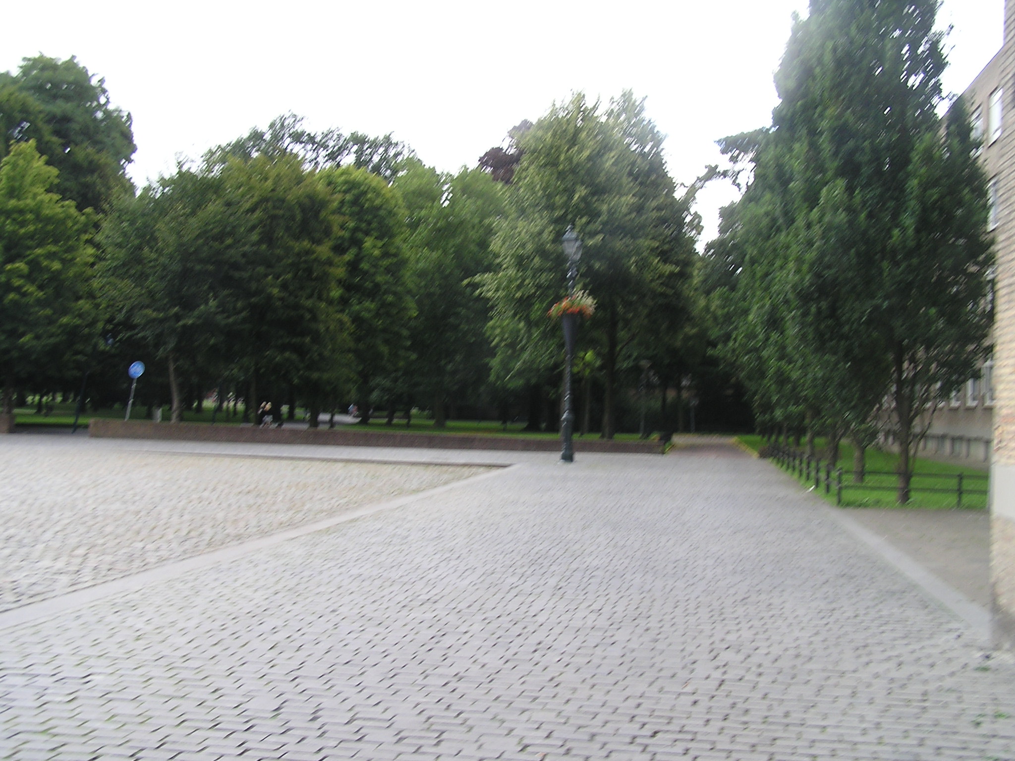 P1010121.JPG