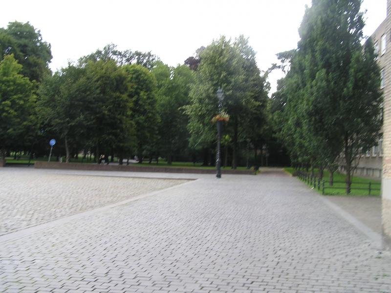 P1010121.JPG