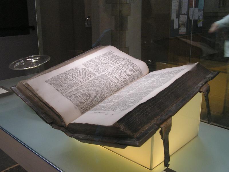 P1010090.JPG