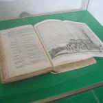 P1010093.JPG