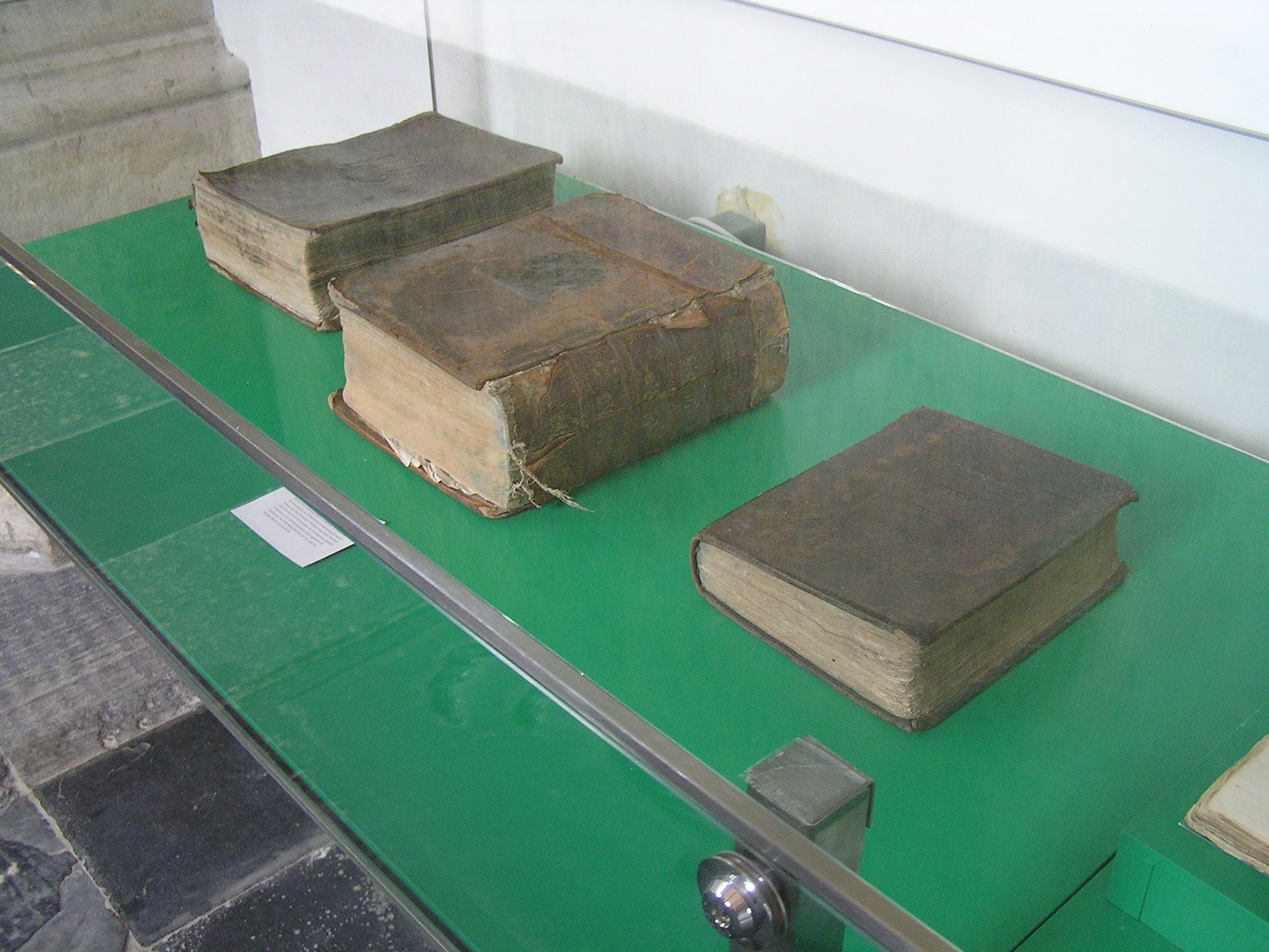 P1010094.JPG