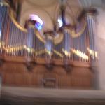 P1010044.JPG