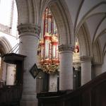 P1010145.JPG