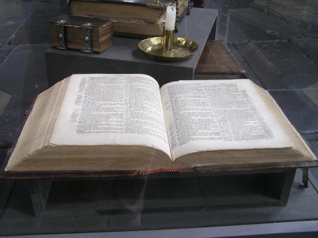 P1010156.JPG