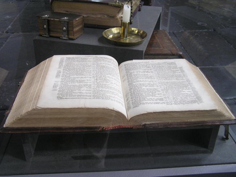 P1010156.JPG