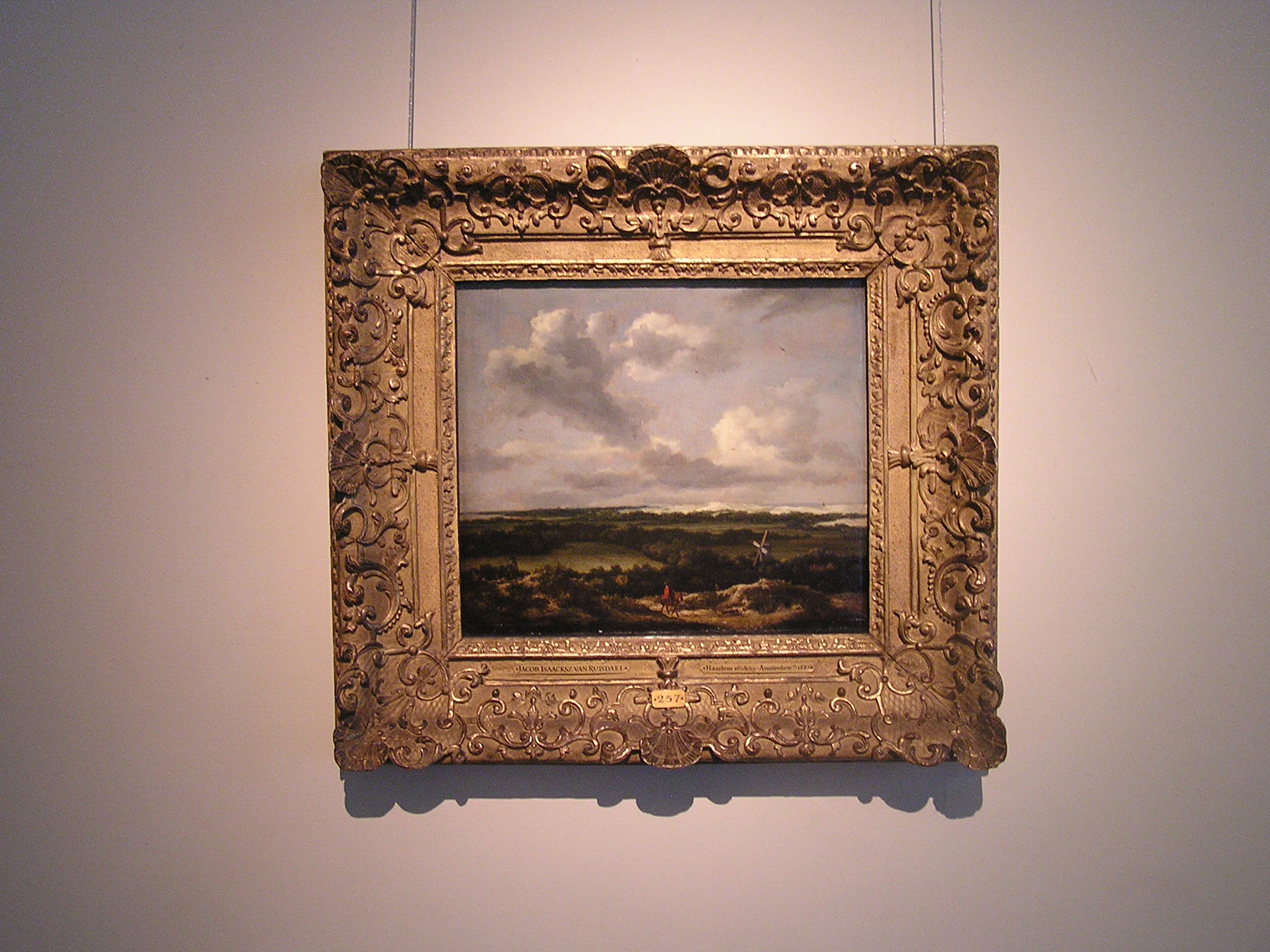 P1010077.JPG