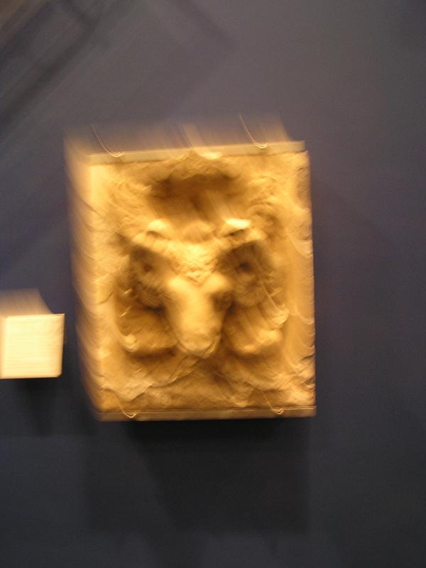 P1010058.JPG