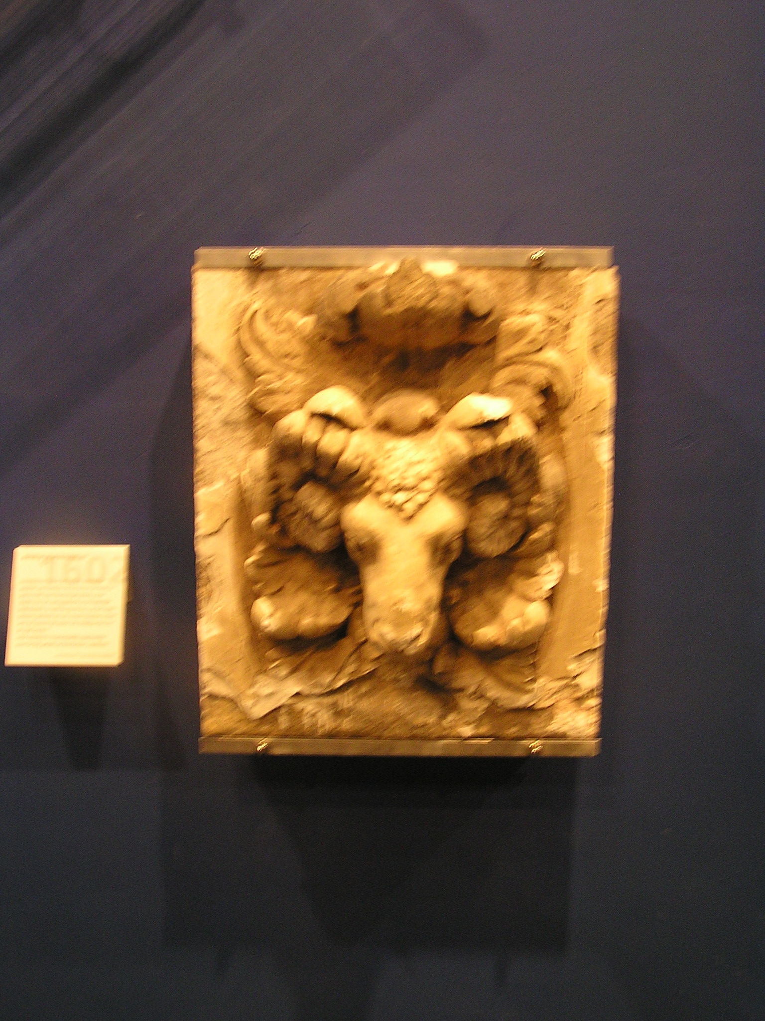 P1010059.JPG
