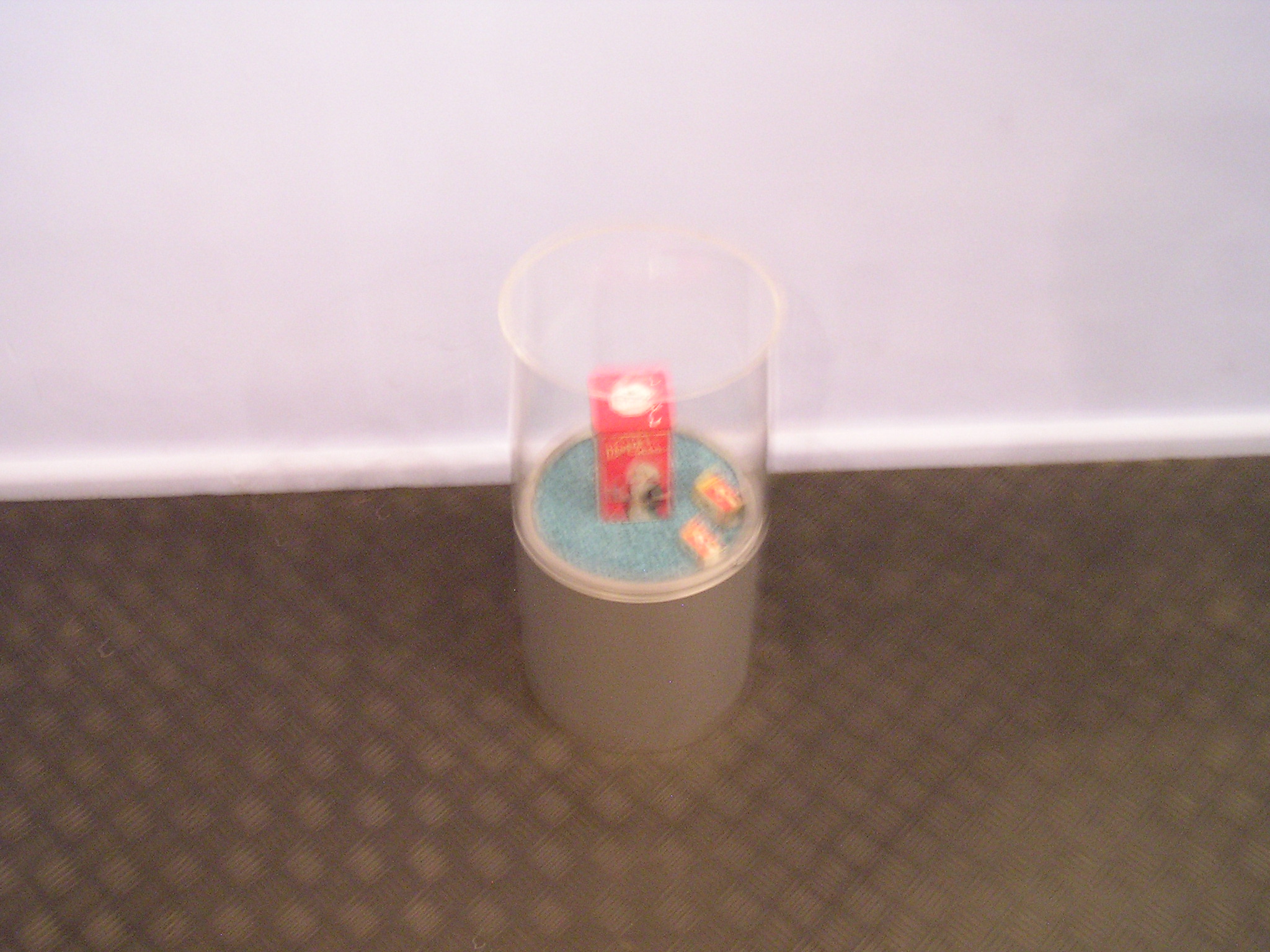 P1010060.JPG