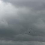 IMG_0466.JPG