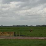 IMG_0445.JPG Hoek van Holland fele