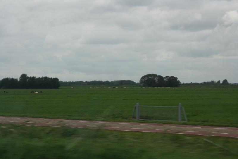 IMG_0448.JPG