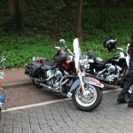 IMG_0877.JPG