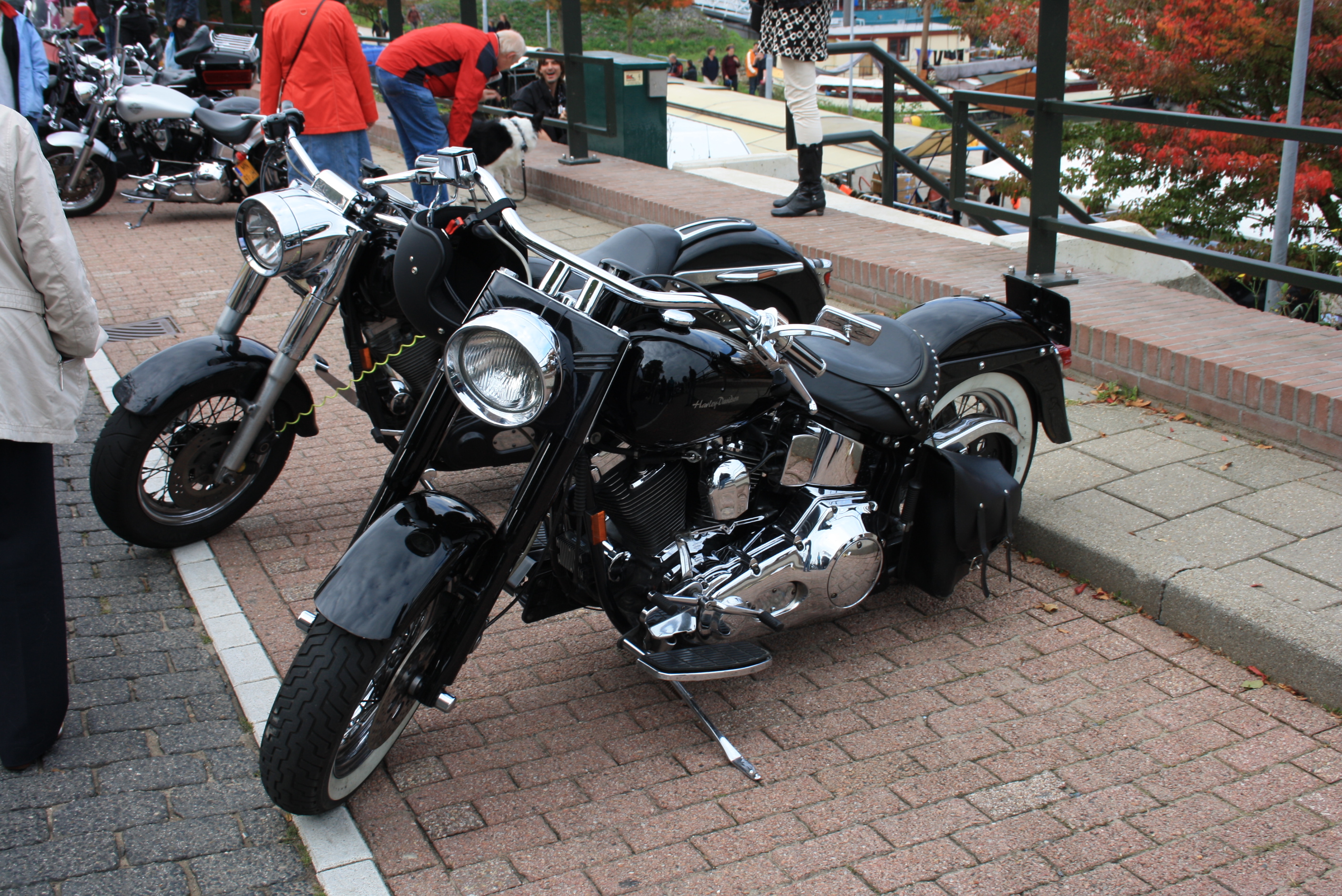 IMG_0952.JPG