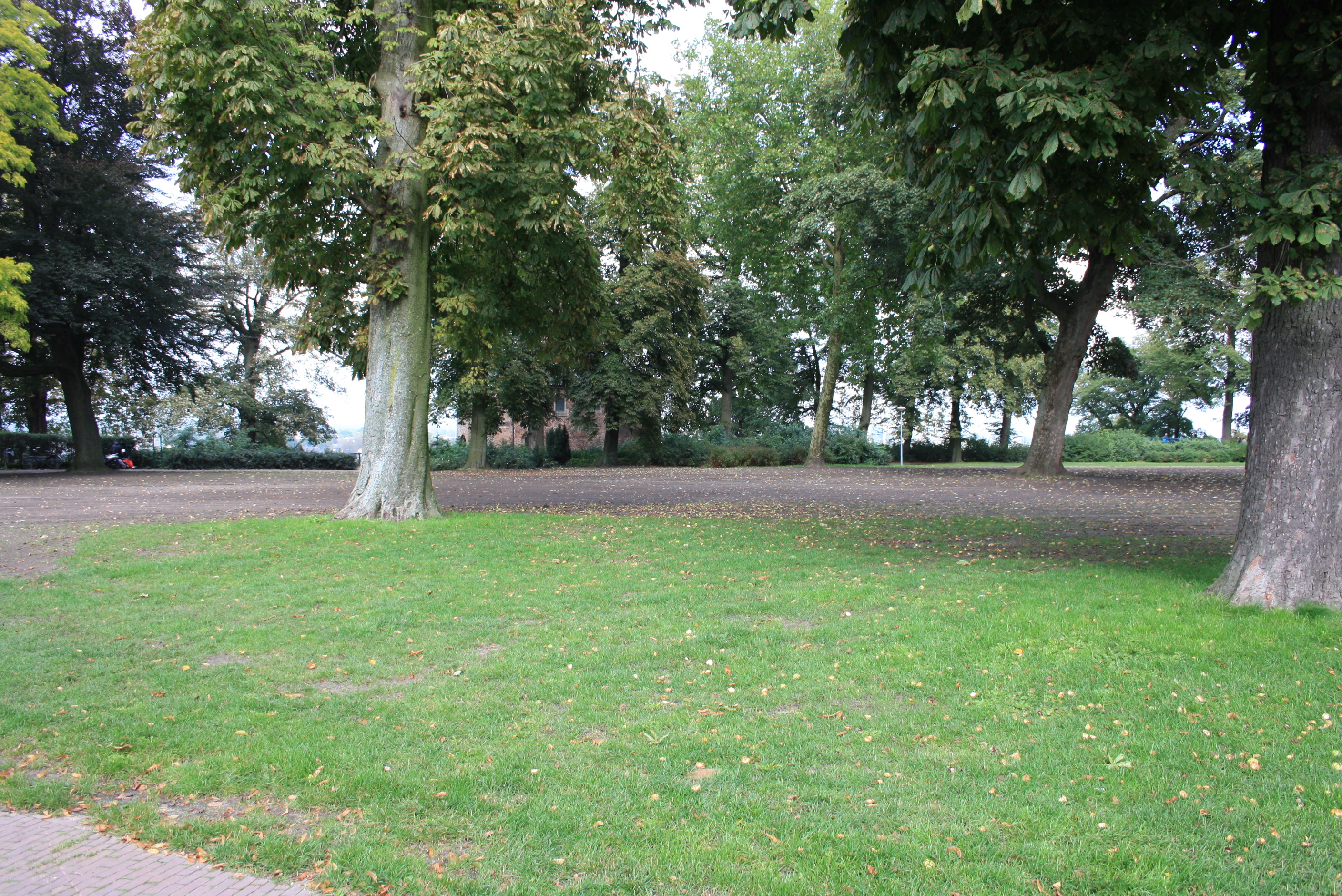 IMG_0900.JPG