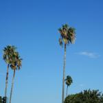 IMG_1045.JPG