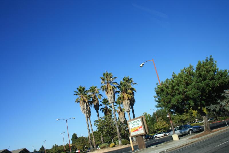 IMG_1058.JPG
