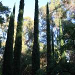 IMG_1093.JPG