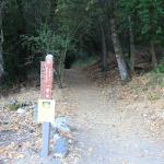 IMG_1143.JPG