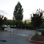 IMG_1210.JPG
