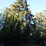 IMG_1157.JPG