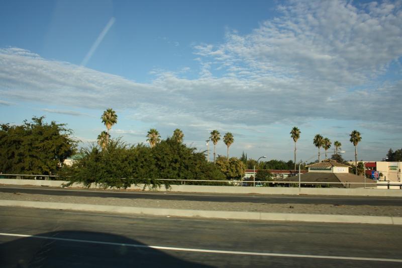 IMG_1177.JPG