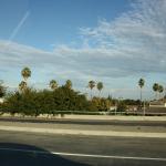 IMG_1177.JPG