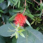 IMG_1219.JPG