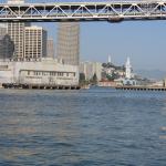 IMG_1387.JPG