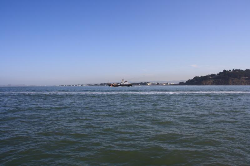 IMG_1417.JPG