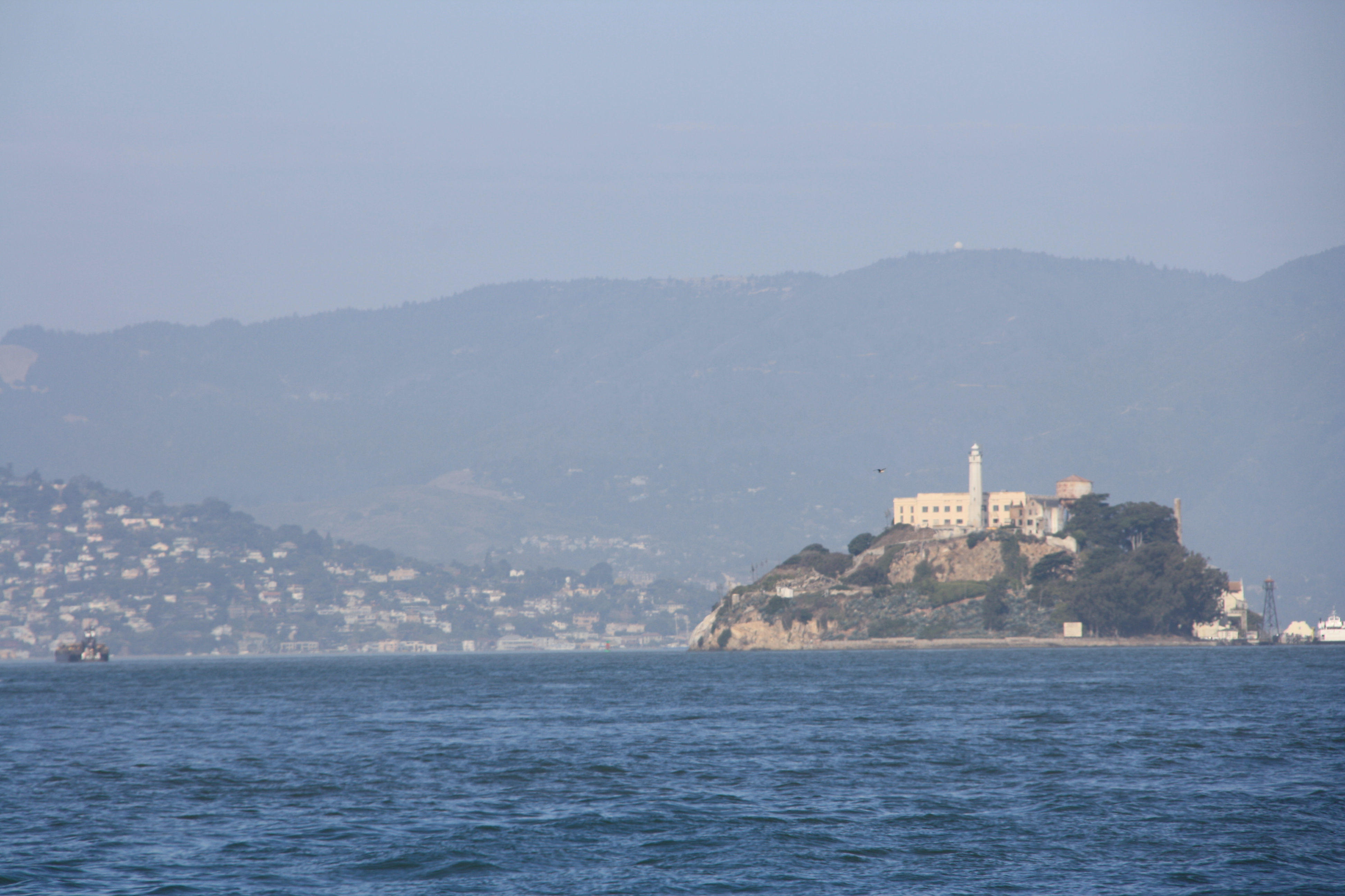 IMG_1425.JPG