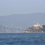 IMG_1425.JPG