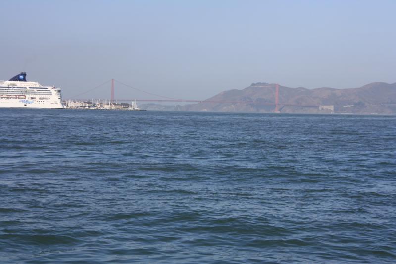 IMG_1429.JPG