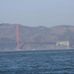 IMG_1435.JPG