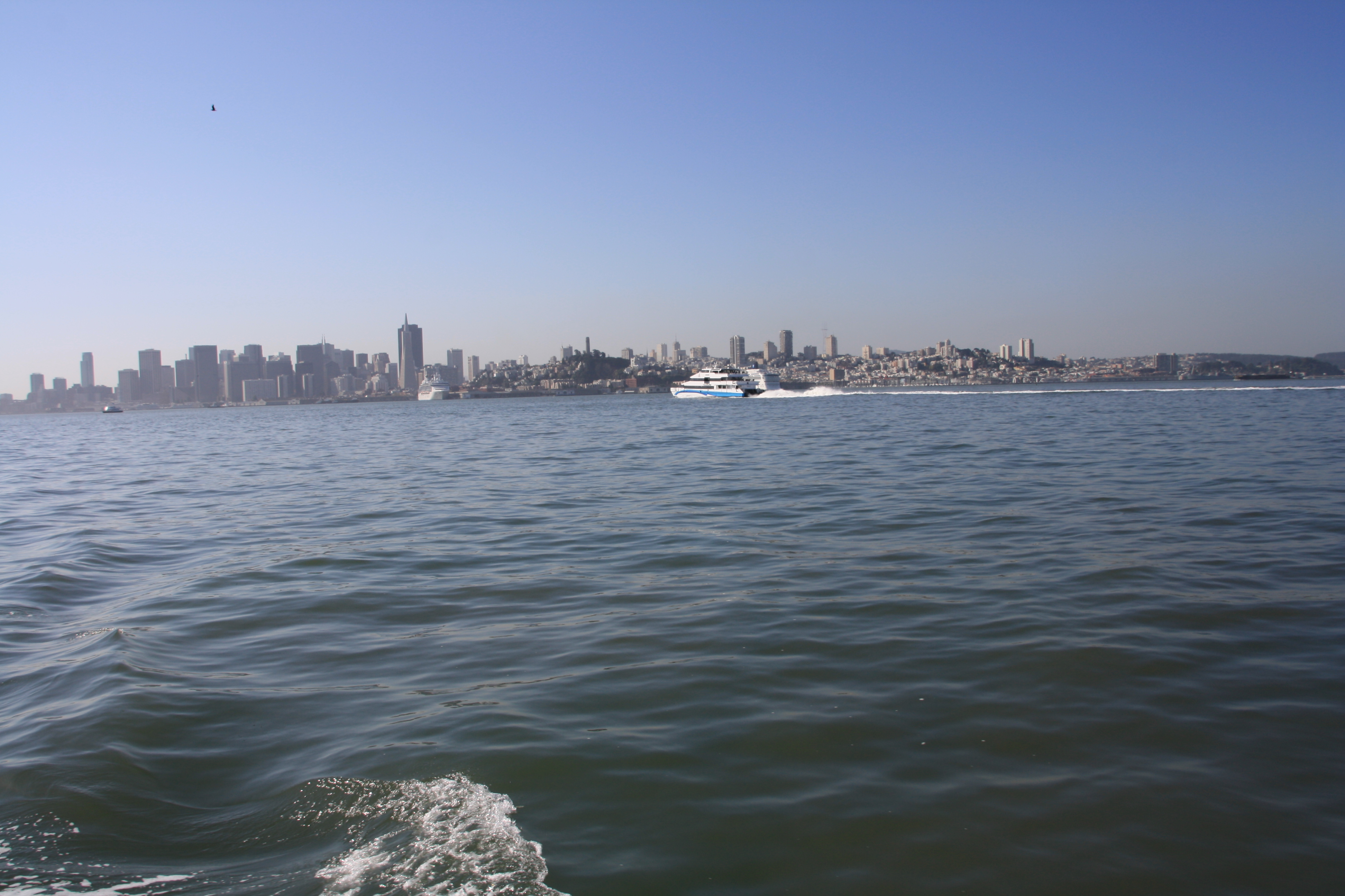 IMG_1443.JPG