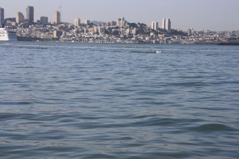 IMG_1444.JPG