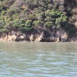 IMG_1460.JPG