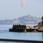 IMG_1485.JPG