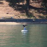 IMG_1487.JPG - That's how to relax.