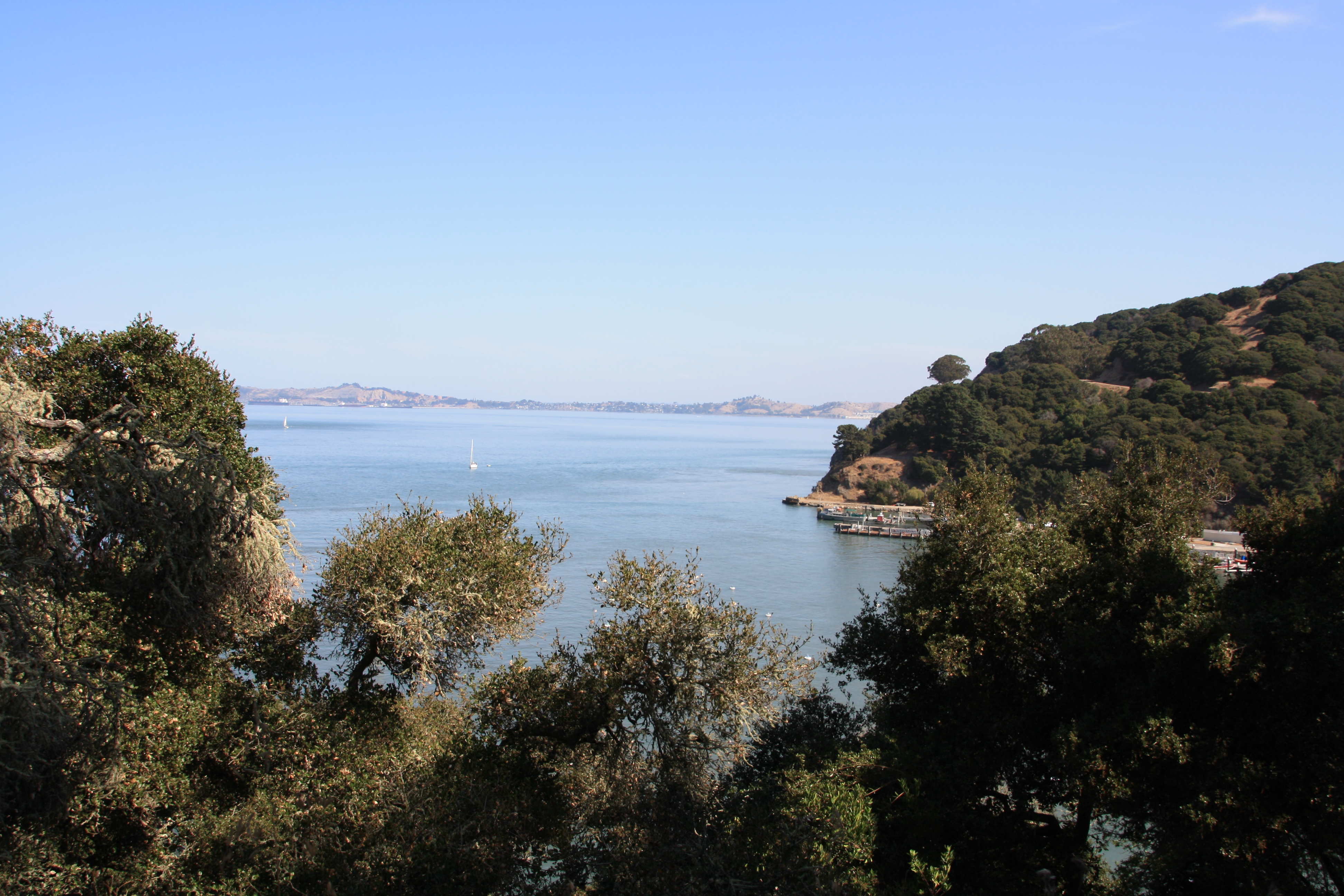 IMG_1516.JPG