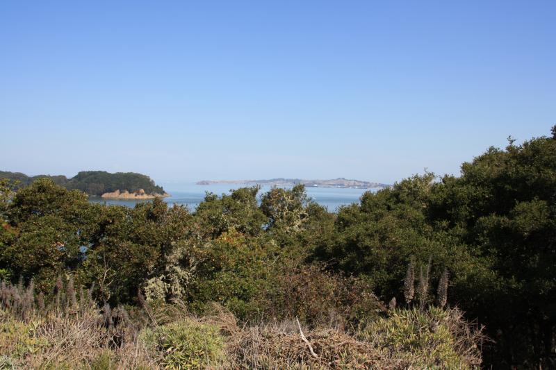 IMG_1520.JPG