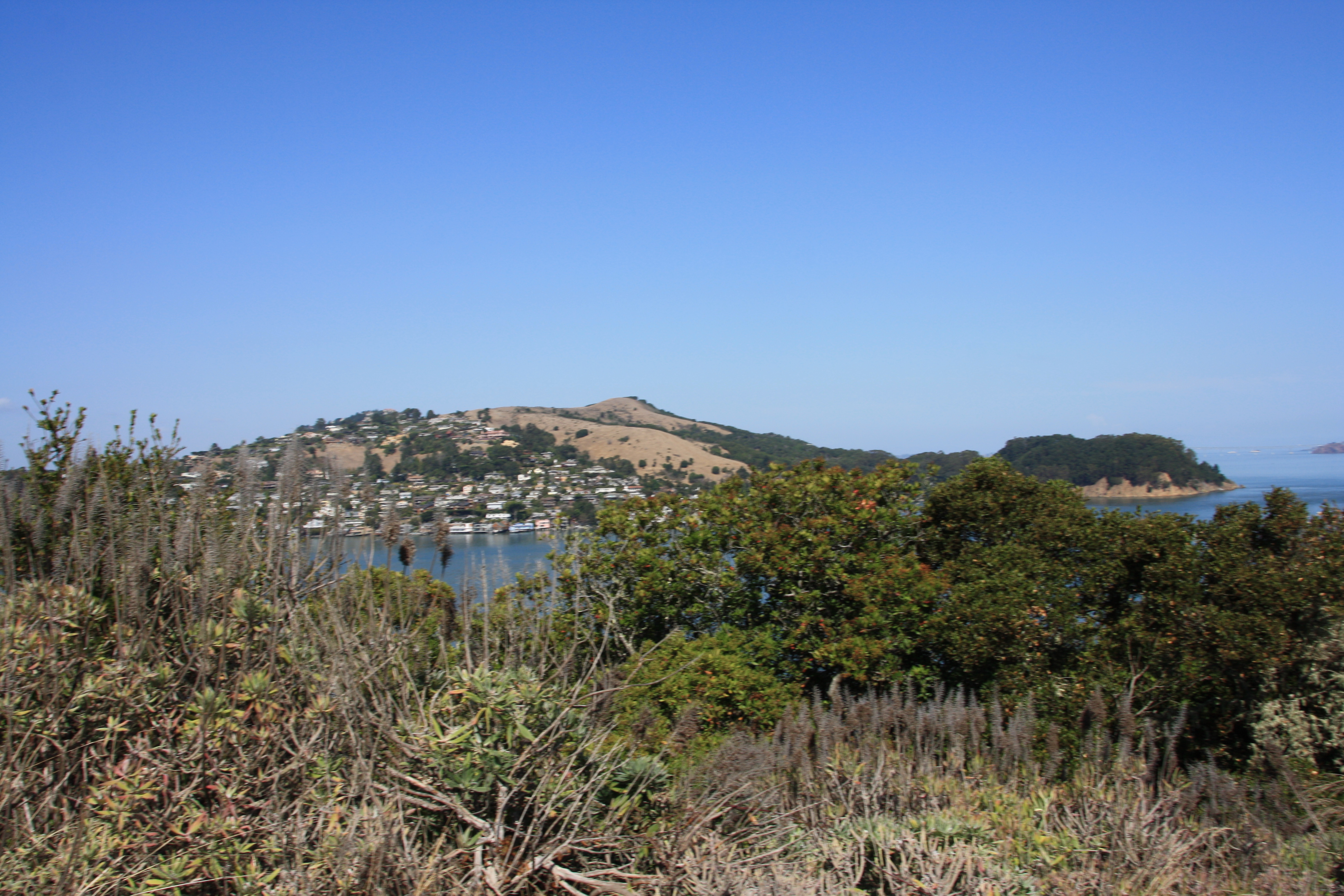 IMG_1521.JPG