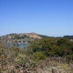 IMG_1521.JPG